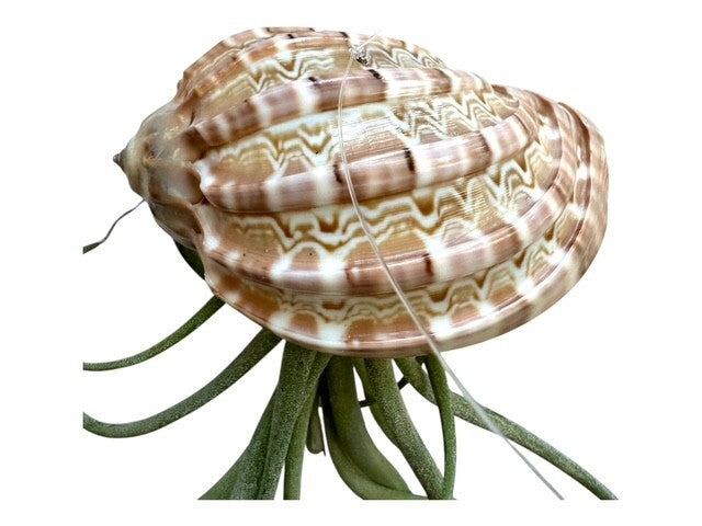 8013570