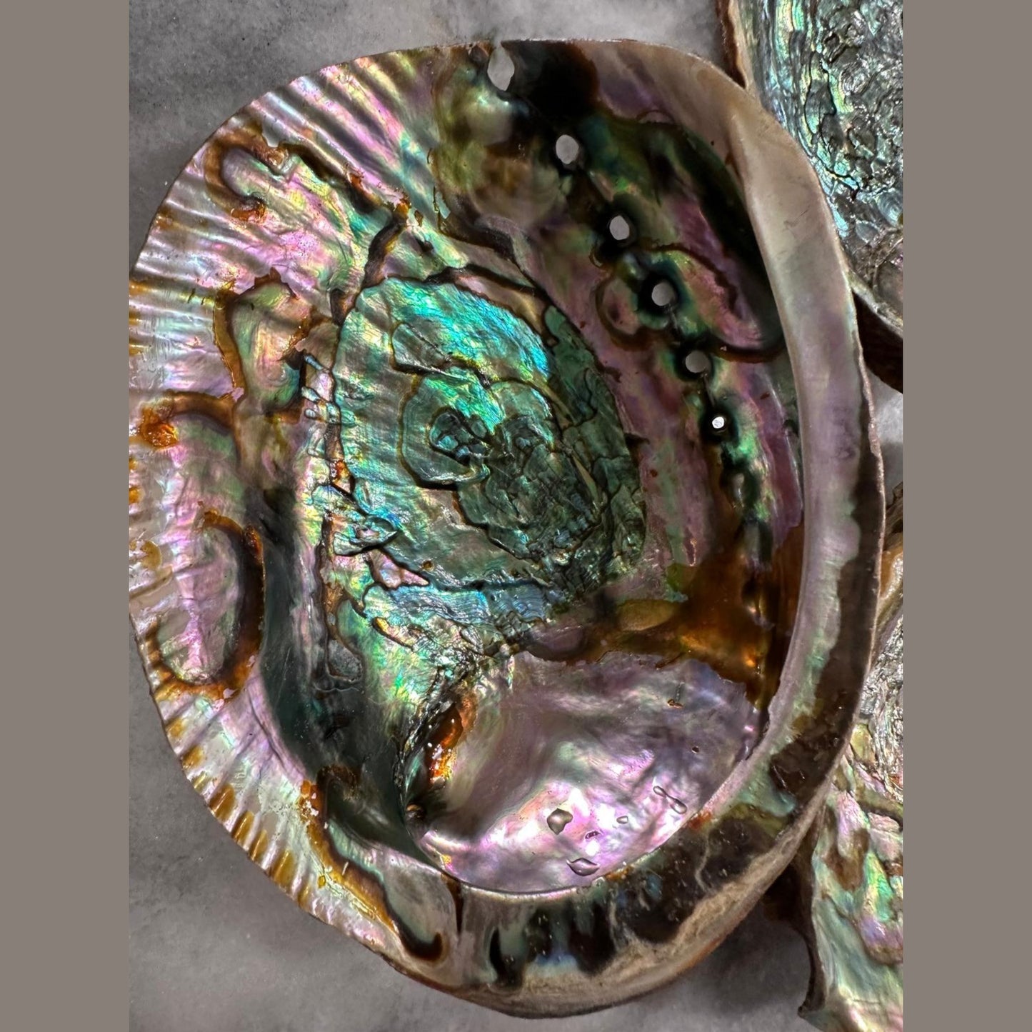 8013577