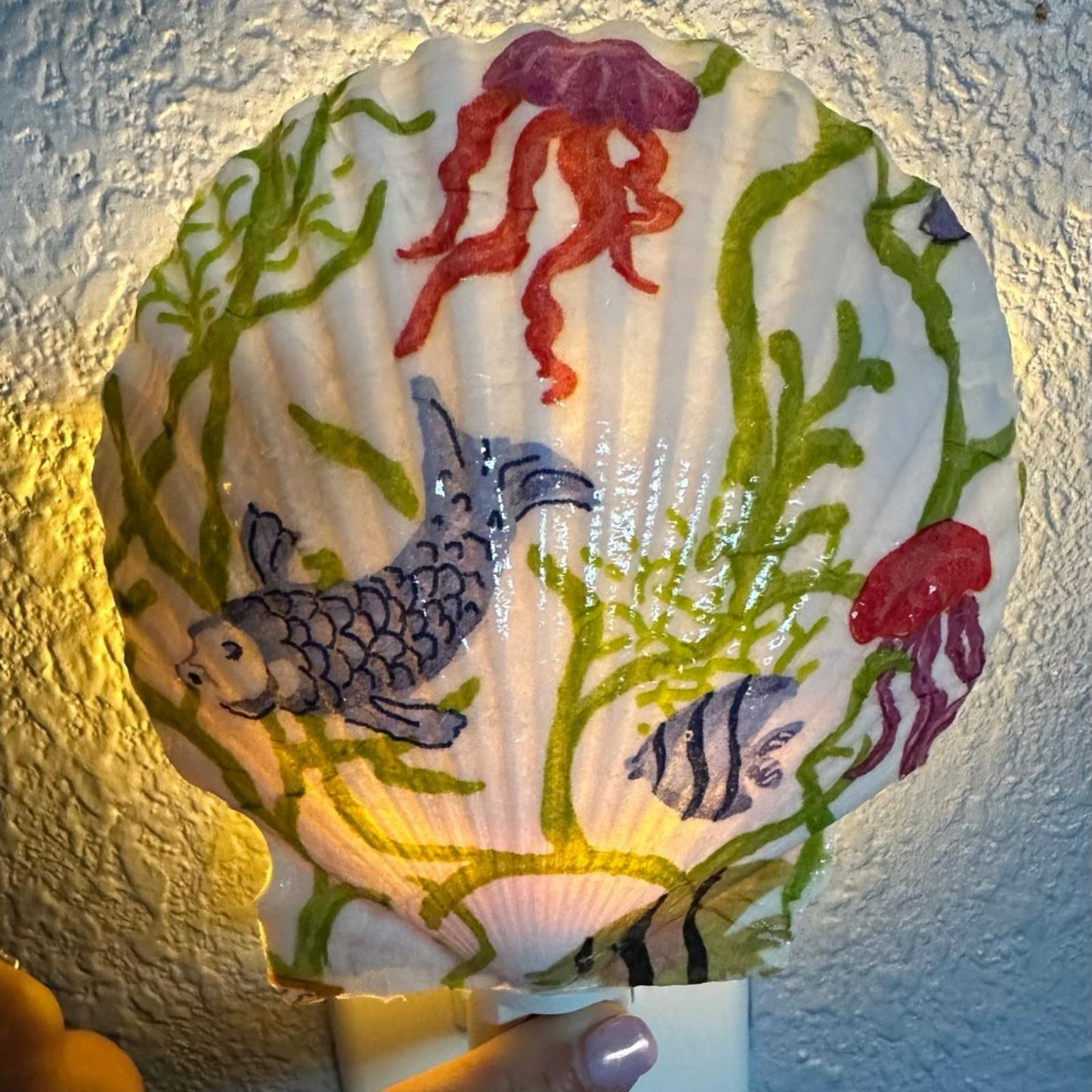 Scallop Nightlight- Sea Life- Auto Sensor LED On/Off- Nursery Nightlight