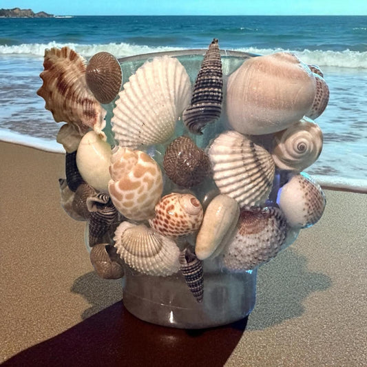 Glass Natural Shell Candle Holder with Candle- 2 Candle Scent Options- "Calme" & "Restablissment"