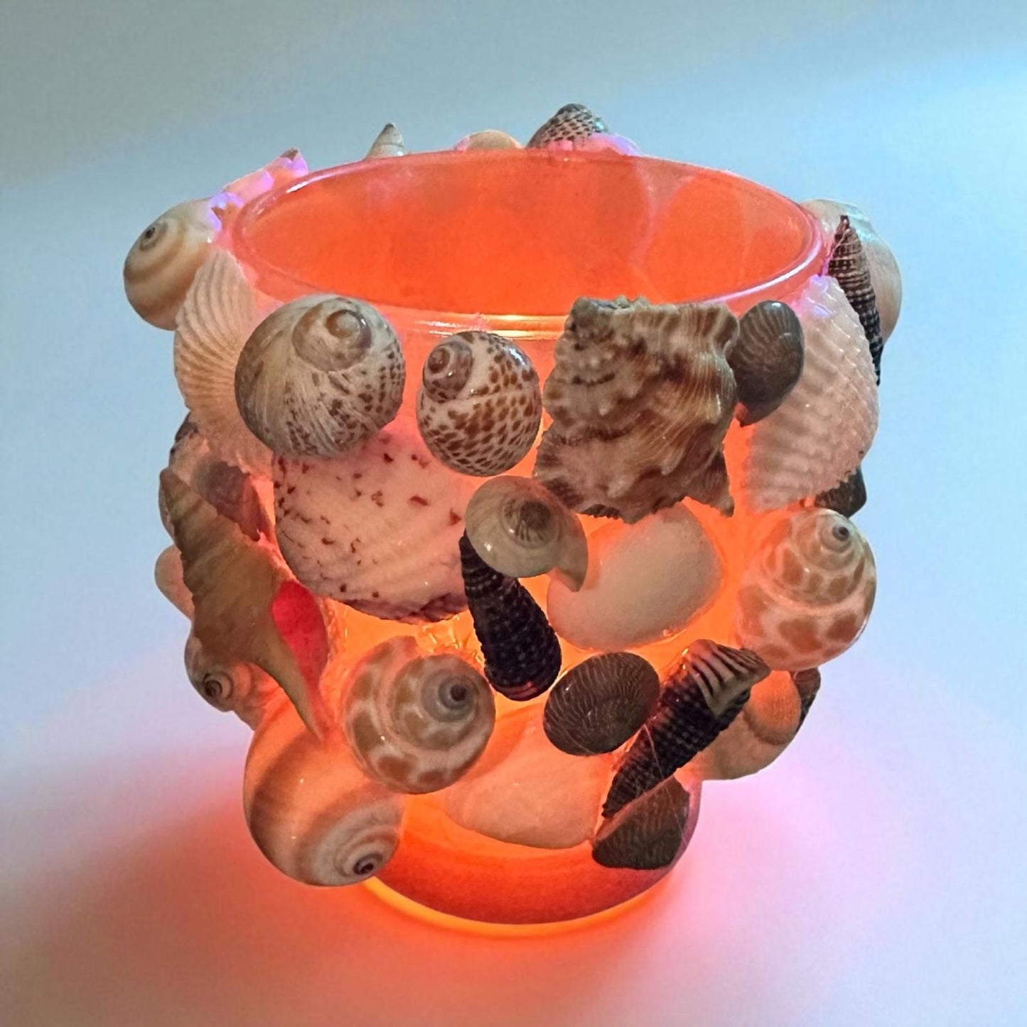 Glass Natural Shell Candle Holder with Candle- 2 Candle Scent Options- "Calme" & "Restablissment"
