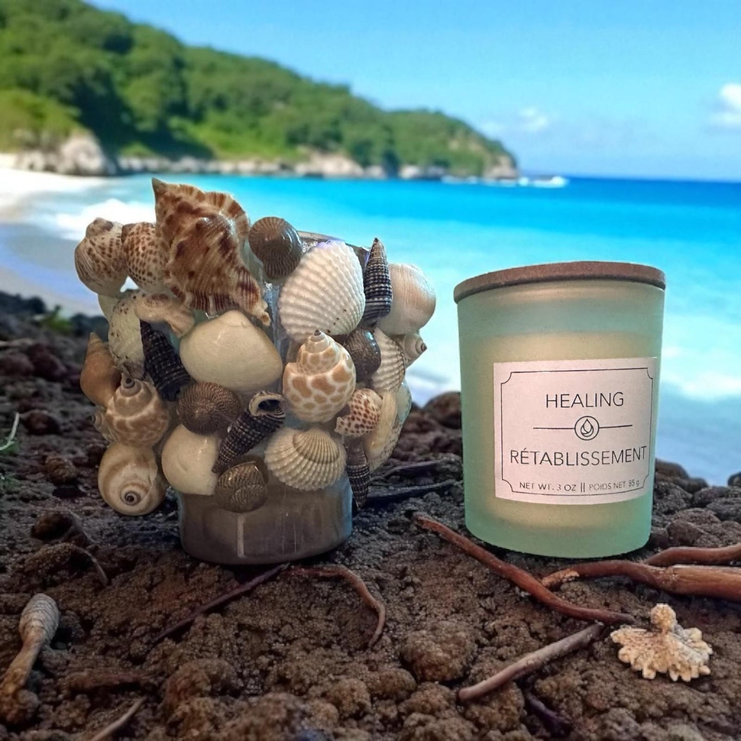 Glass Natural Shell Candle Holder with Candle- 2 Candle Scent Options- "Calme" & "Restablissment"