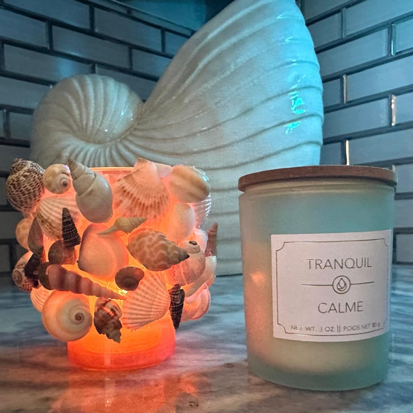 Glass Natural Shell Candle Holder with Candle- 2 Candle Scent Options- "Calme" & "Restablissment"