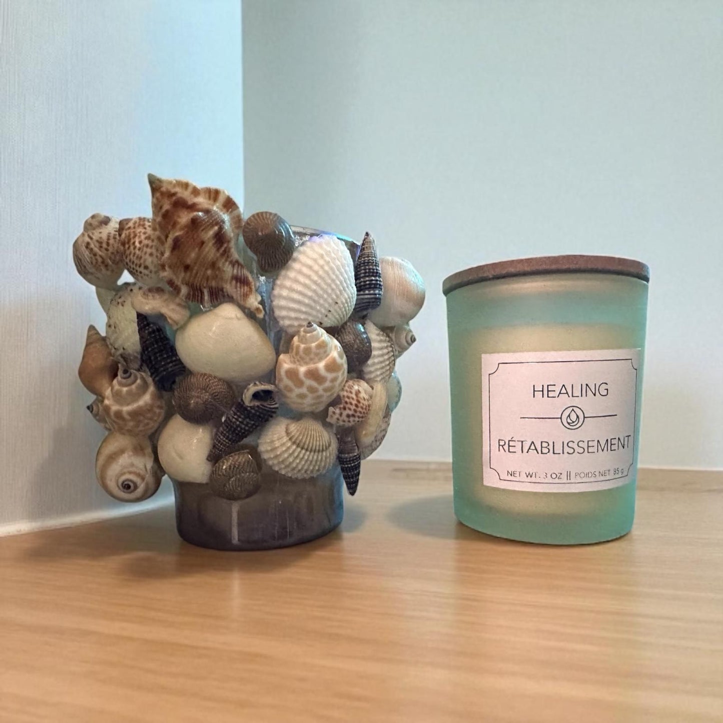 Glass Natural Shell Candle Holder with Candle- 2 Candle Scent Options- "Calme" & "Restablissment"