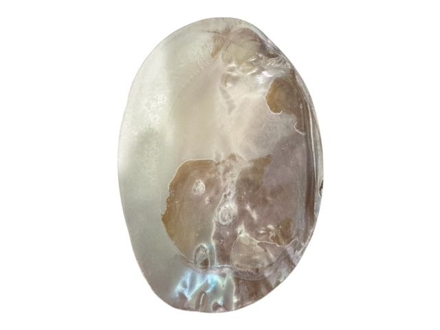 Large Mother of Iridescent Pearl Clam Shell - Coastal Home Decor - Jewelry / Soap Dish - Natural Seashell