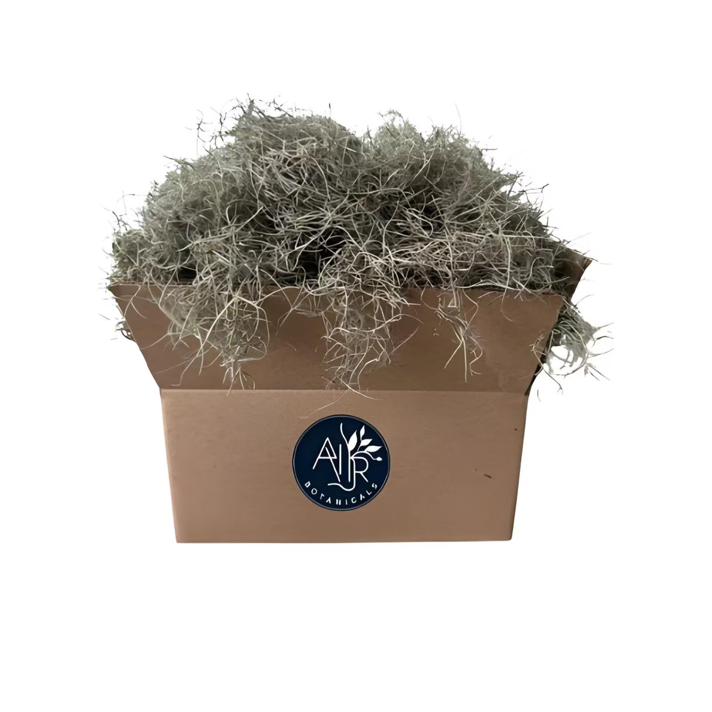 1 -5 GAL Premium Fresh Spanish Moss Air Plant - Healthy Tillandsia Usneoides - Wewdding & Home Decor, Orchids & Terrariums