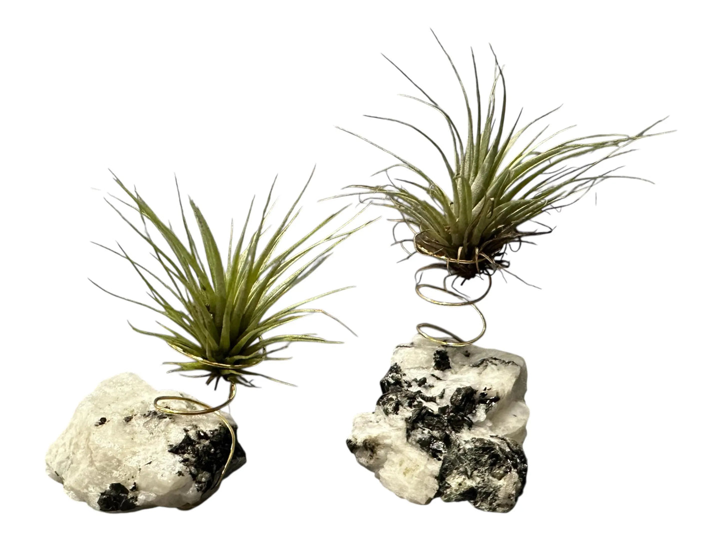 Crystal Geode Holder with Air Plant for Natural Healing Energy, Gift Box & Care Kit – A Thoughtful Gift for Mindfulness, Balance and Self-Care