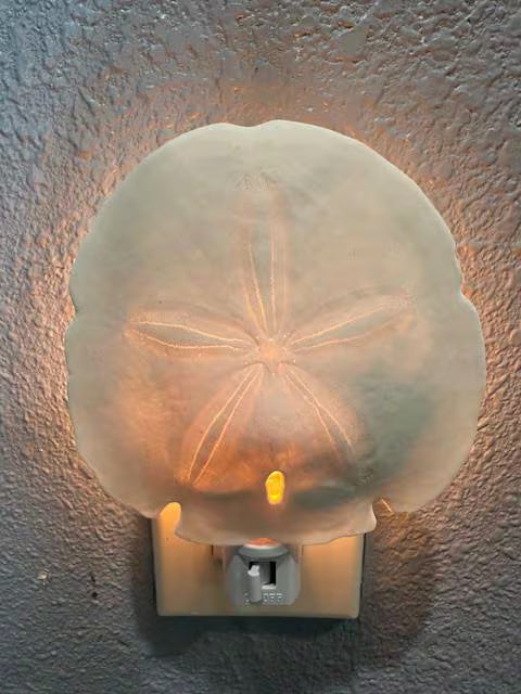 Shell Nightlight Coastal Arrowhead Sand Dollar Light - Handcrafted Organic Shell Decor with Warm Glow - Perfect Beach House or Nursery Gift