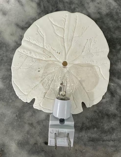 Shell Nightlight Coastal Arrowhead Sand Dollar Light - Handcrafted Organic Shell Decor with Warm Glow - Perfect Beach House or Nursery Gift