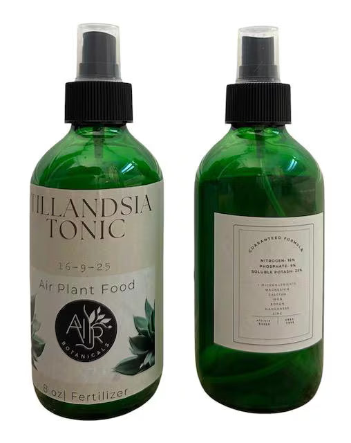 Air Plant Fertilizer Mist in Green Glass Bottle - Plant Food Tonic for Vibrant Growth & Freshness - Eco-Friendly Formula - Packaging