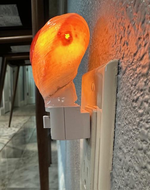 Coastal Moon Snail Shell Night Light - Organic Beach House Decor - Unique Ocean-Inspired Illumination - Hallway Bedroom Nursery Gift