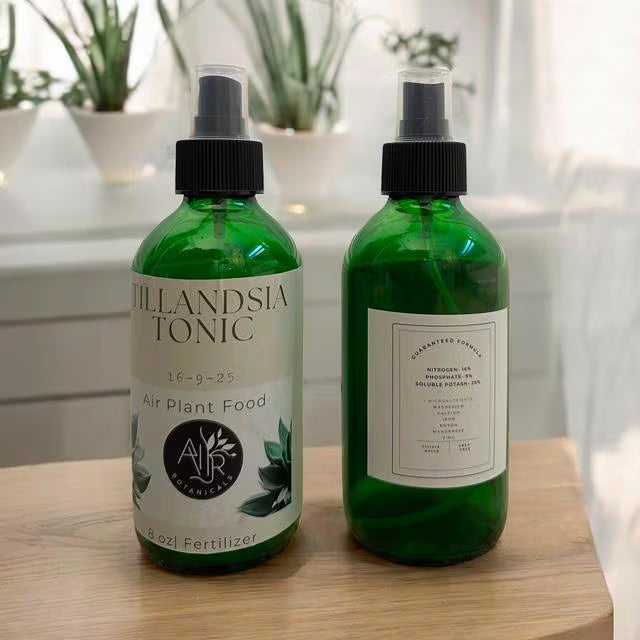 Air Plant Fertilizer Mist in Green Glass Bottle - Plant Food Tonic for Vibrant Growth & Freshness - Eco-Friendly Formula - Packaging