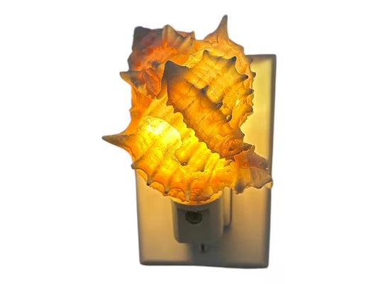 Coastal Pink Murex Shell Night Light - Dusk-to-Dawn LED Sensor Light- Beach Home Decor Gift, Bathroom Night Light