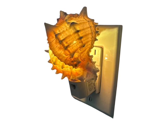 Coastal Pink Murex Shell Night Light - Dusk-to-Dawn LED Sensor Light- Beach Home Decor Gift, Bathroom Night Light