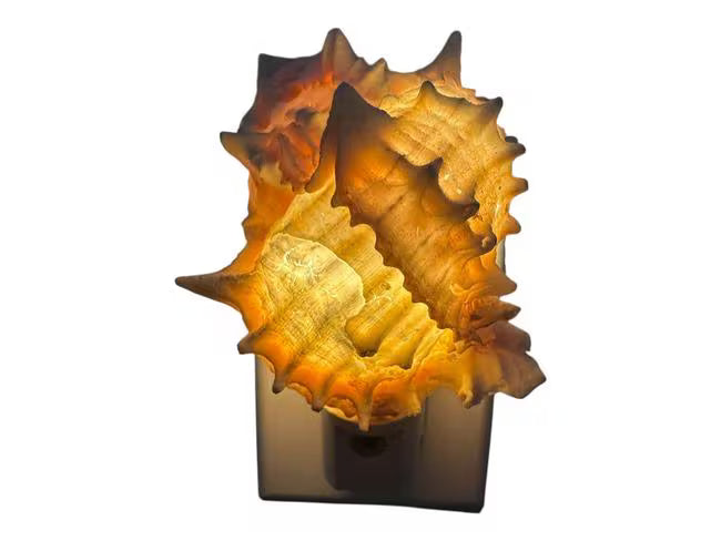 Coastal Pink Murex Shell Night Light - Dusk-to-Dawn LED Sensor Light- Beach Home Decor Gift, Bathroom Night Light