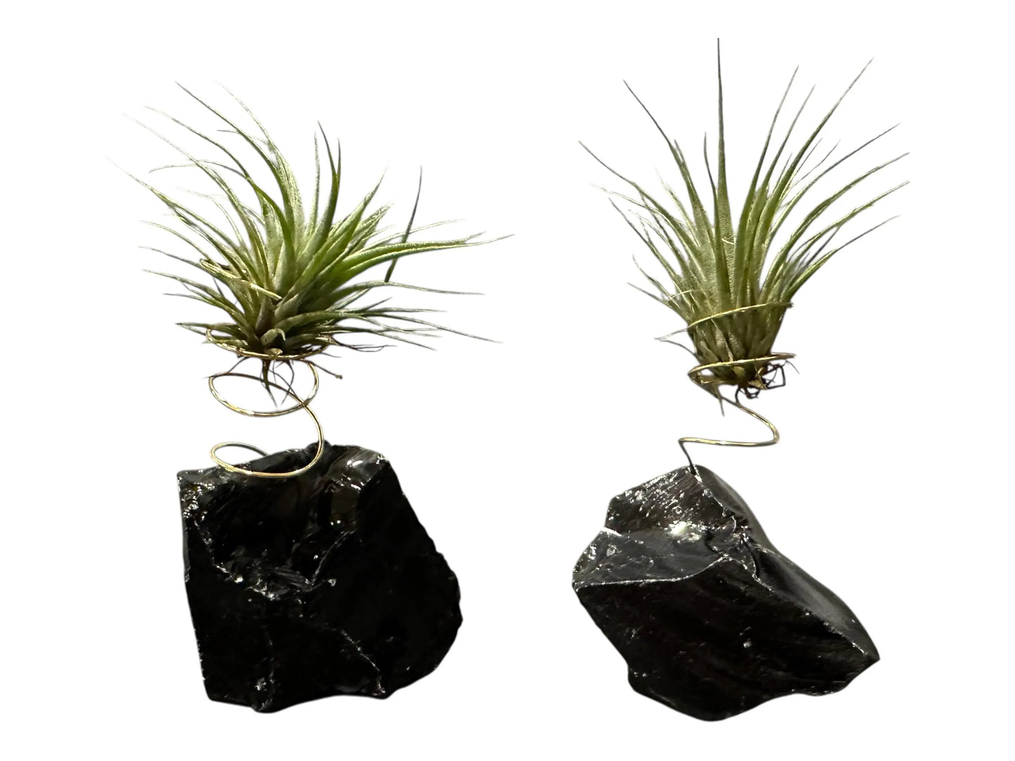 Crystal Geode Holder with Air Plant for Natural Healing Energy, Gift Box & Care Kit – A Thoughtful Gift for Mindfulness, Balance and Self-Care