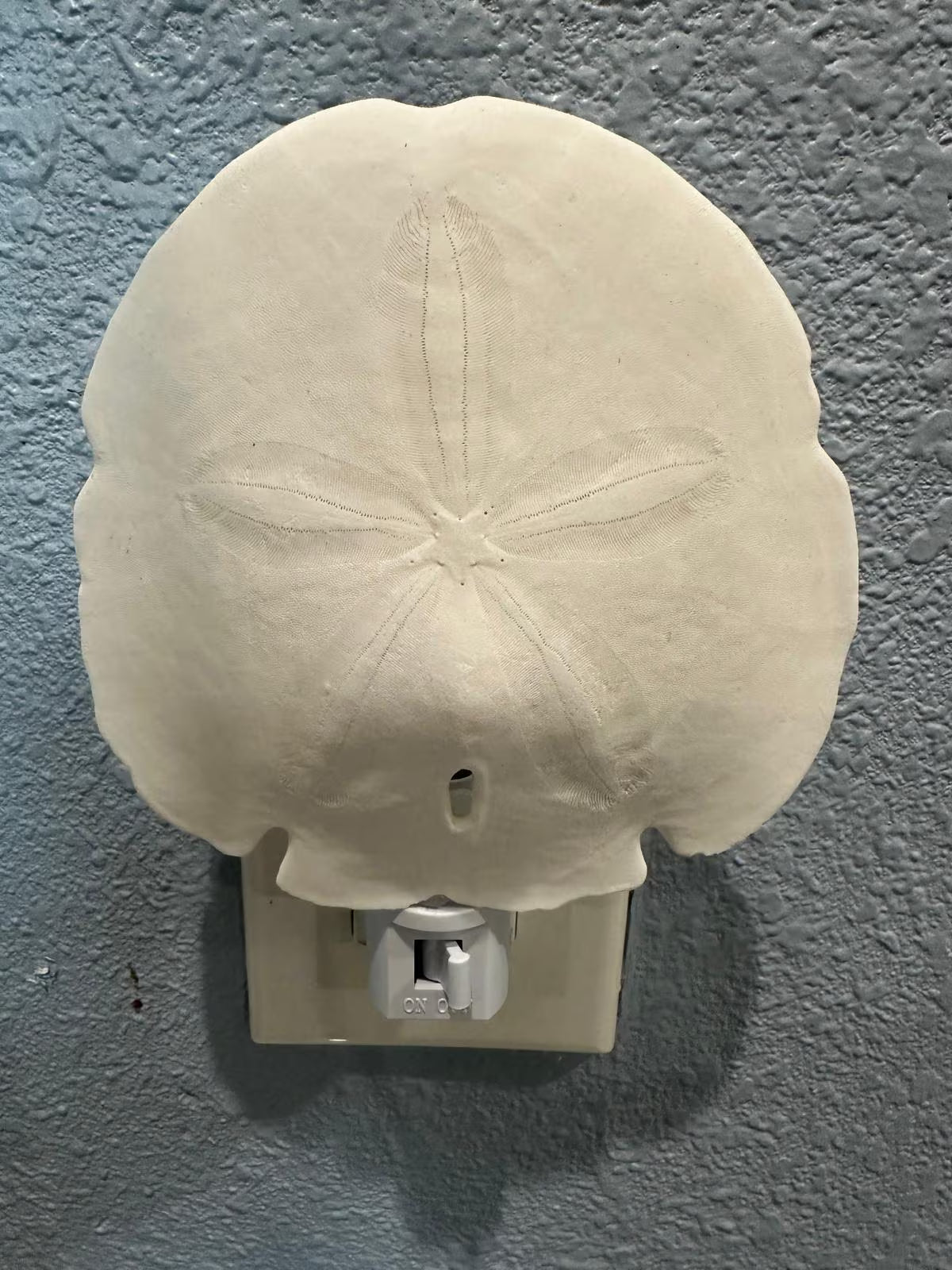 Shell Nightlight Coastal Arrowhead Sand Dollar Light - Handcrafted Organic Shell Decor with Warm Glow - Perfect Beach House or Nursery Gift