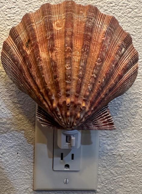 Natural Scallop Seashell Night Light- Handmade- Heavy Natural Shell- Auto On/Off LED Light- Beach House- Ocean-Inspired Gift