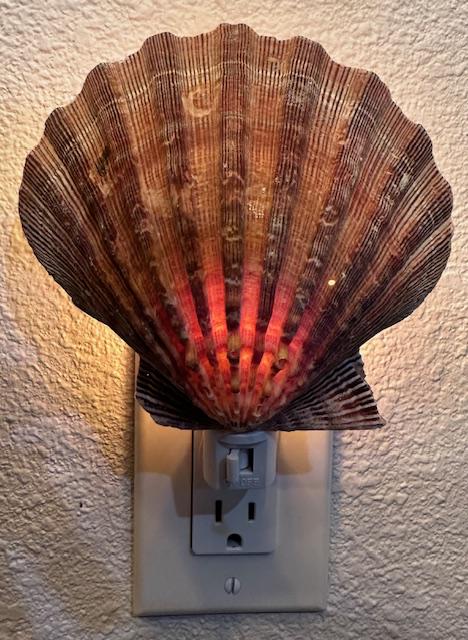 Natural Scallop Seashell Night Light- Handmade- Heavy Natural Shell- Auto On/Off LED Light- Beach House- Ocean-Inspired Gift
