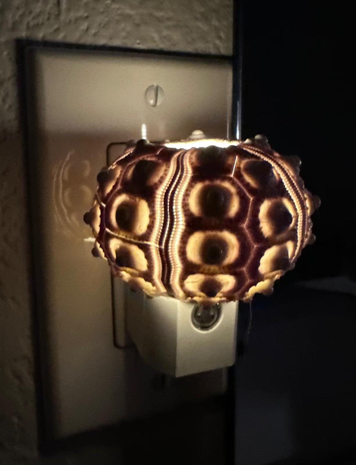Sputnik Sea Urchin Night Light – Automatic On/Off, Long-Lasting Bulb, 2.5" Coastal Shell Light- Beach Décor- Unique Gift
