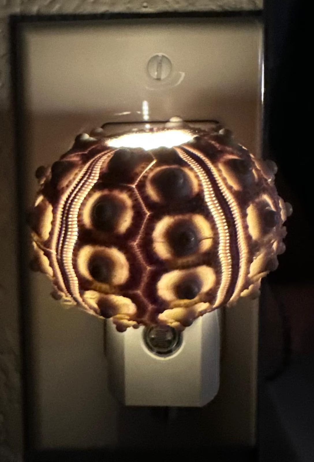 Sputnik Sea Urchin Night Light – Automatic On/Off, Long-Lasting Bulb, 2.5" Coastal Shell Light- Beach Décor- Unique Gift