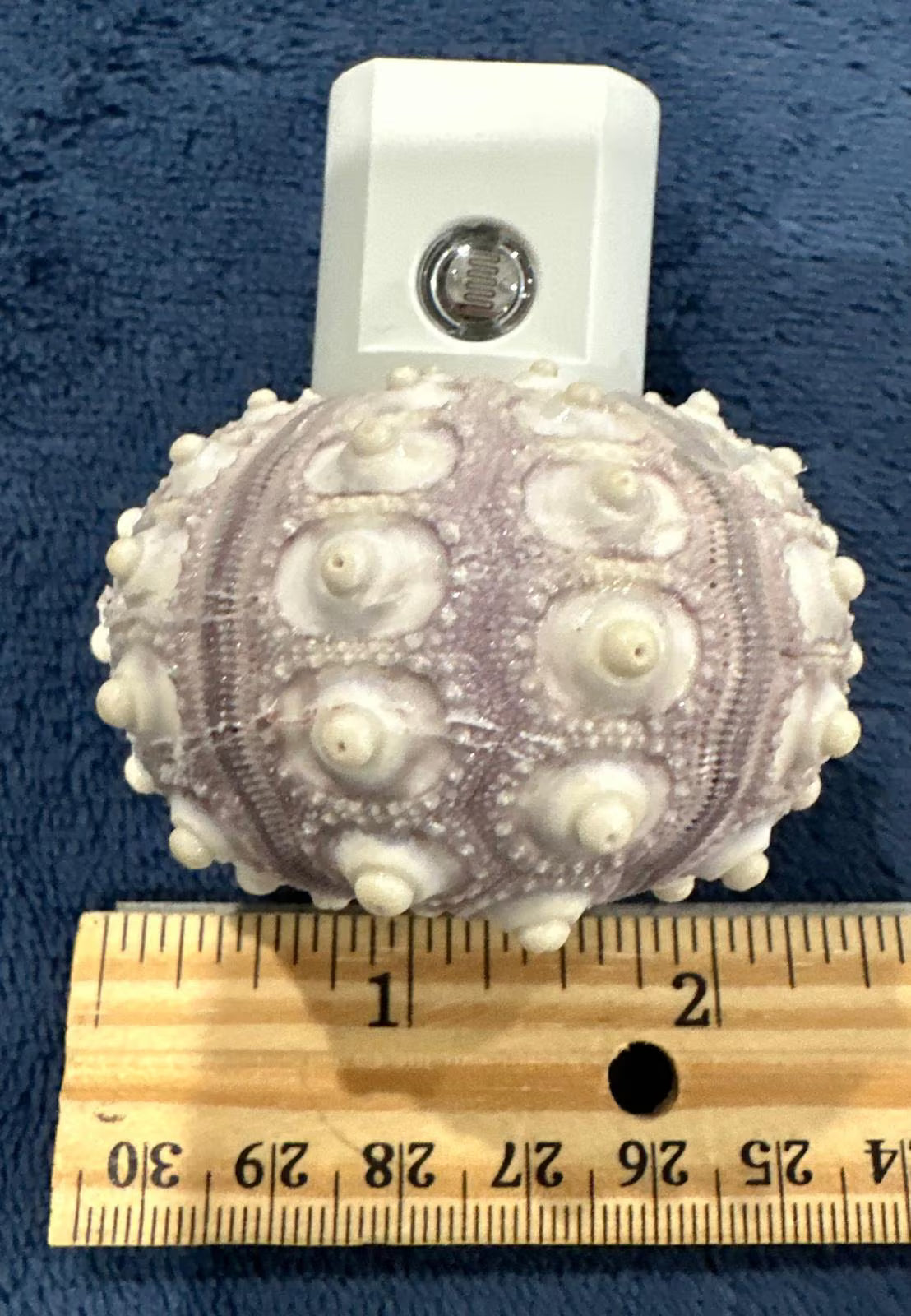 Sputnik Sea Urchin Night Light – Automatic On/Off, Long-Lasting Bulb, 2.5" Coastal Shell Light- Beach Décor- Unique Gift