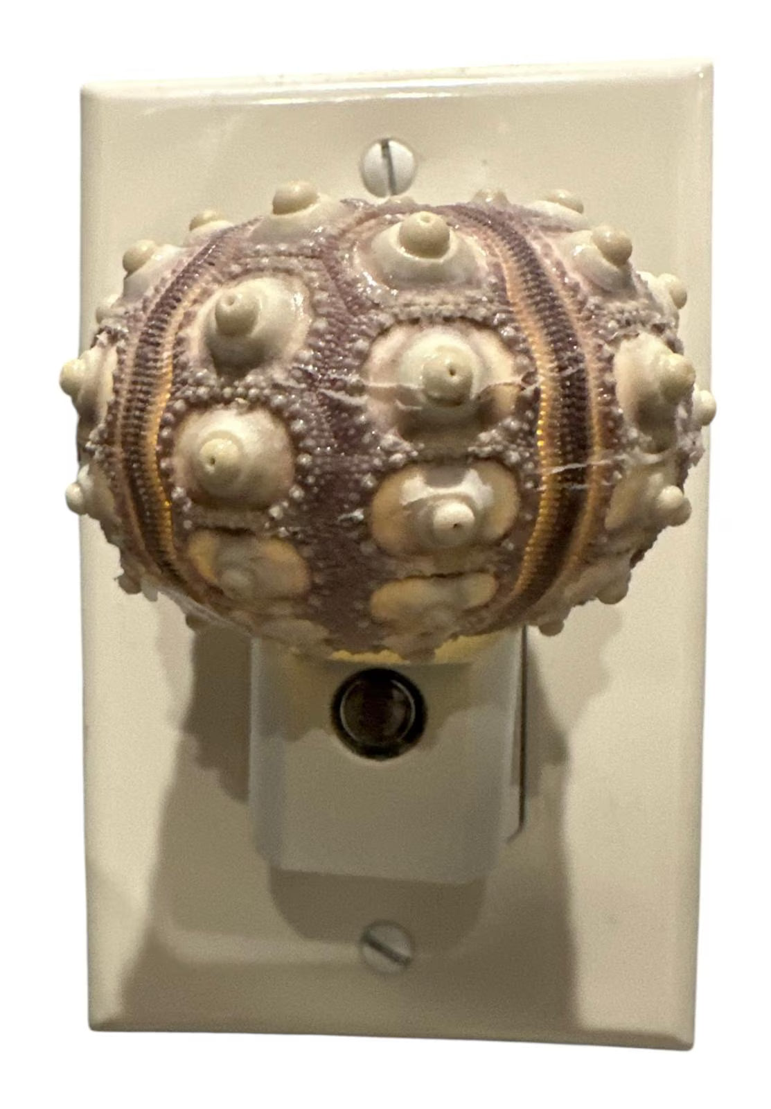 Sputnik Sea Urchin Night Light – Automatic On/Off, Long-Lasting Bulb, 2.5" Coastal Shell Light- Beach Décor- Unique Gift