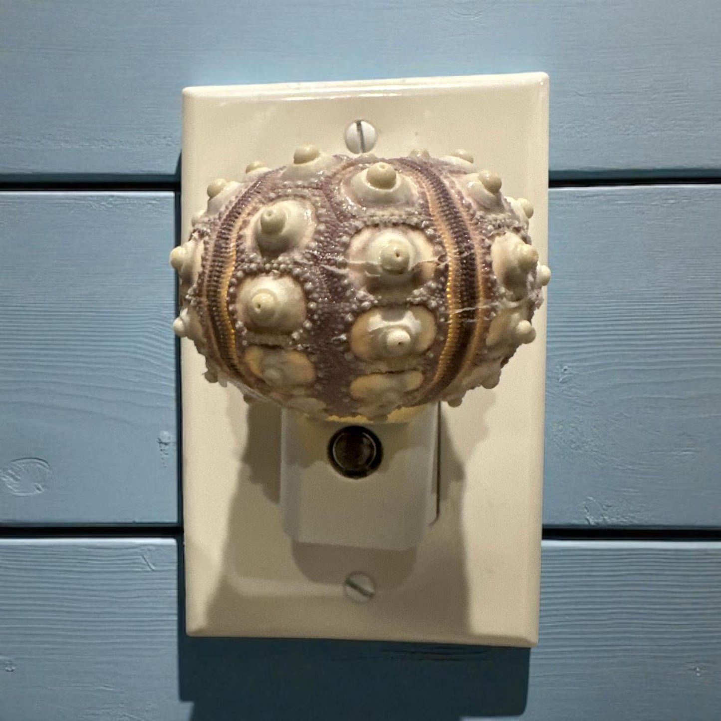 Sputnik Sea Urchin Night Light – Automatic On/Off, Long-Lasting Bulb, 2.5" Coastal Shell Light- Beach Décor- Unique Gift