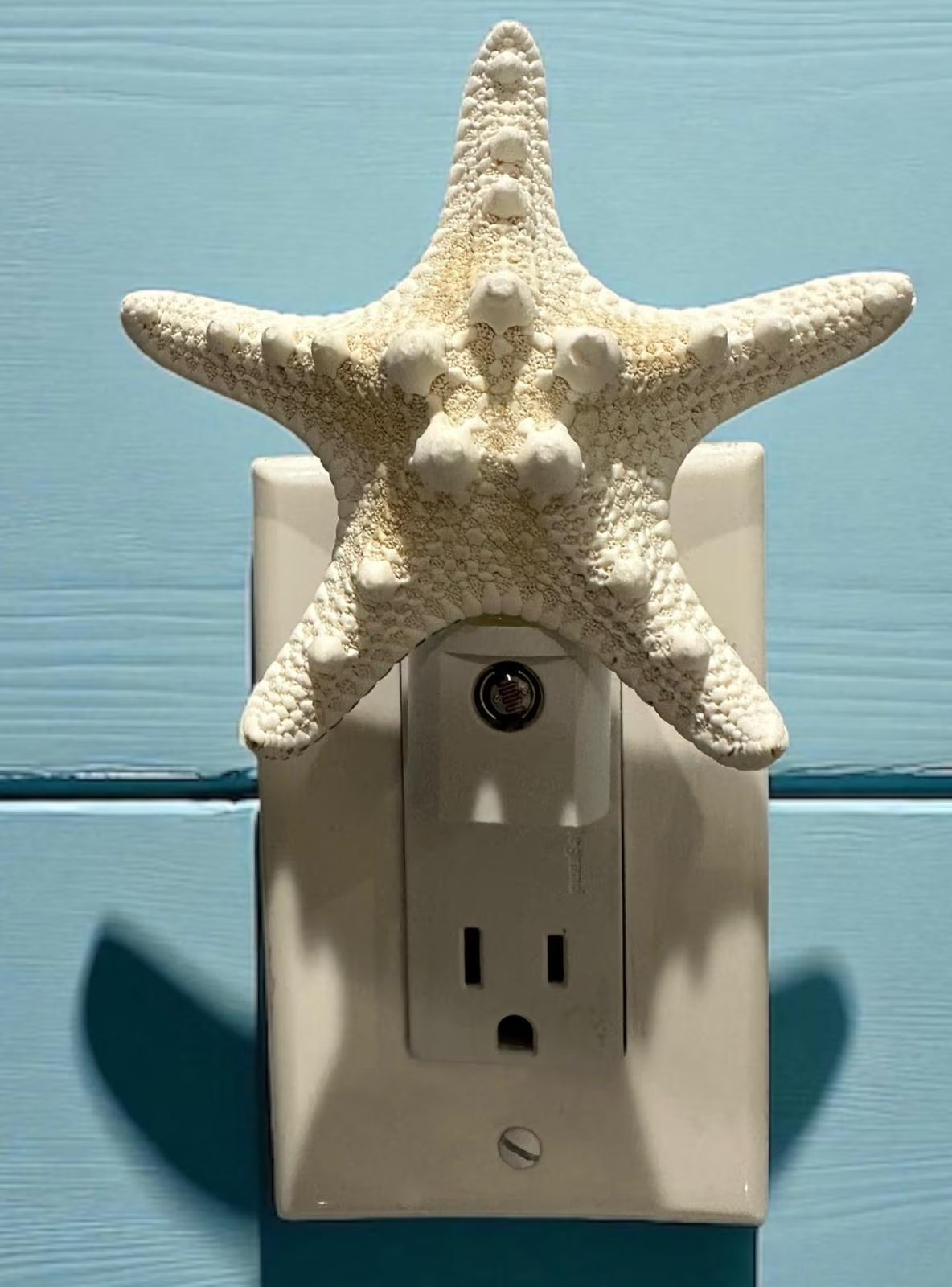 Knobby Natural Starfish Night Light – 4” Coastal Beach House Décor Gift, Nautical Bathroom or Bedroom Lighting- Automatic Dusk to Dawn-