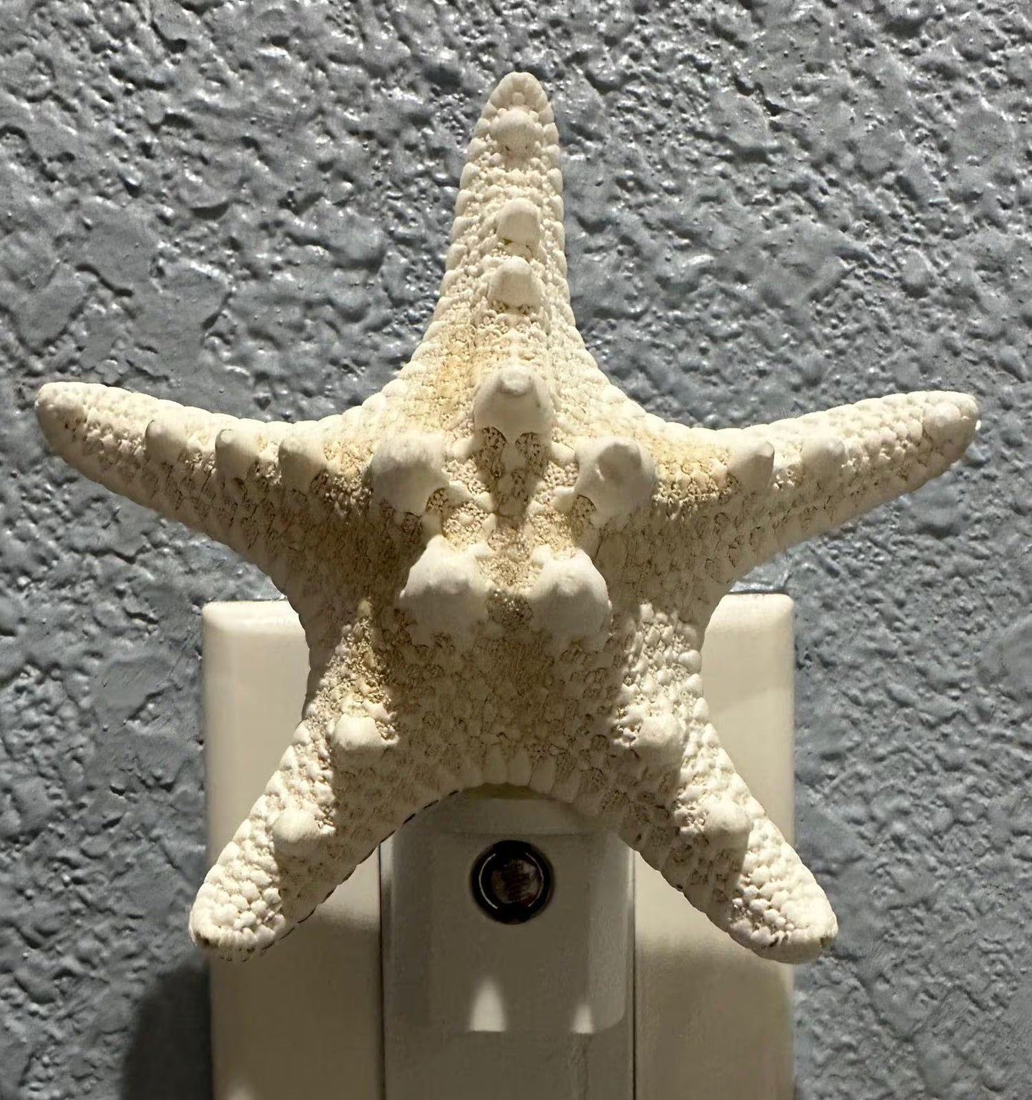 Knobby Natural Starfish Night Light – 4” Coastal Beach House Décor Gift, Nautical Bathroom or Bedroom Lighting- Automatic Dusk to Dawn-