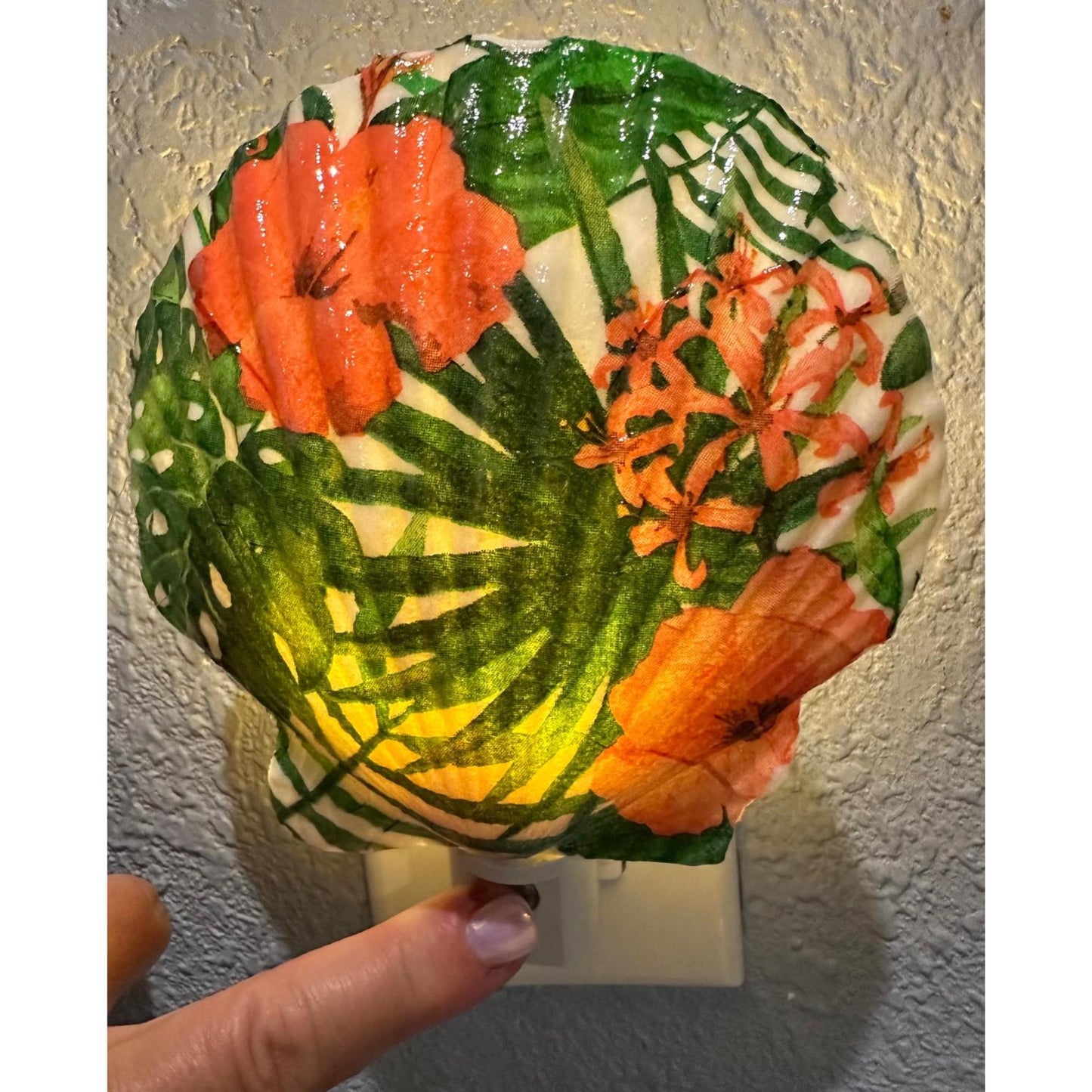Nightlight Coastal Scallop Shell Decoupage Shell Art Light- Beach Theme Home Decor for Ocean Lovers - Unique Handmade Gift Item-Automatic on