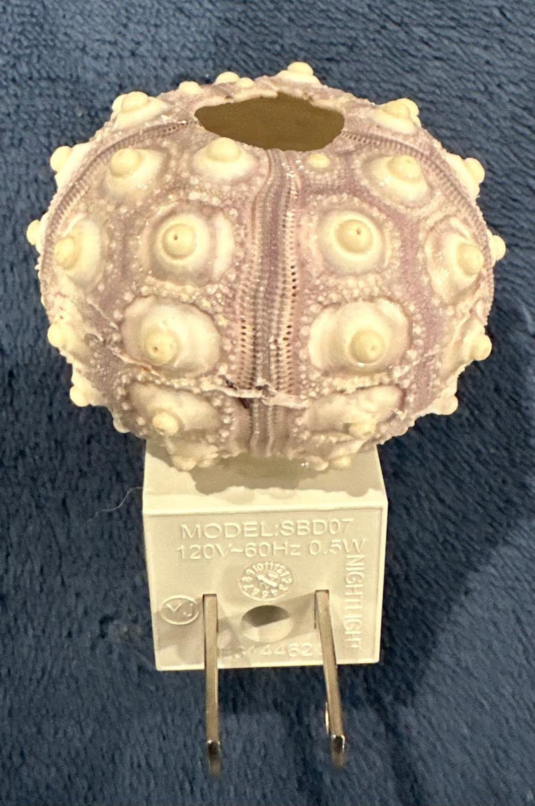 Sputnik Sea Urchin Night Light – Automatic On/Off, Long-Lasting Bulb, 2.5" Coastal Shell Light- Beach Décor- Unique Gift