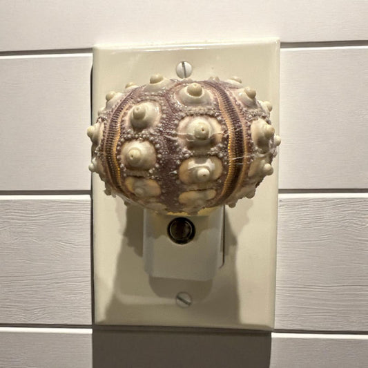 Sputnik Sea Urchin Night Light – Automatic On/Off, Long-Lasting Bulb, 2.5" Coastal Shell Light- Beach Décor- Unique Gift