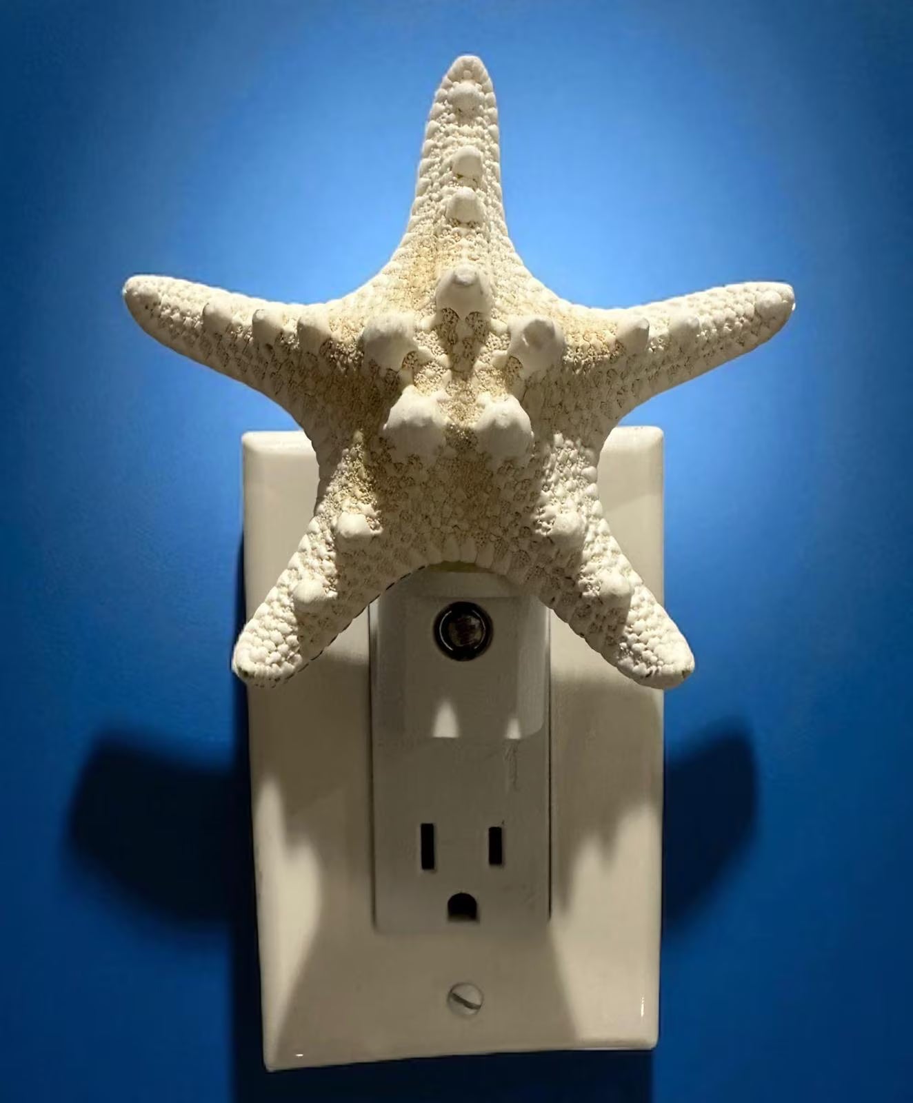 Knobby Natural Starfish Night Light – 4” Coastal Beach House Décor Gift, Nautical Bathroom or Bedroom Lighting- Automatic Dusk to Dawn-