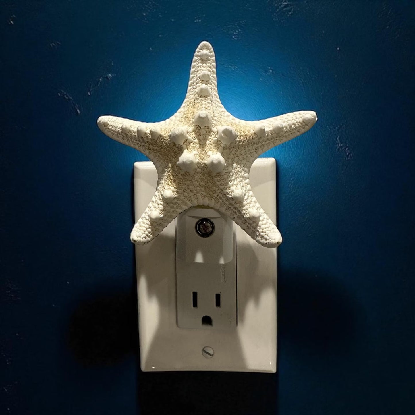 Knobby Natural Starfish Night Light – 4” Coastal Beach House Décor Gift, Nautical Bathroom or Bedroom Lighting- Automatic Dusk to Dawn-