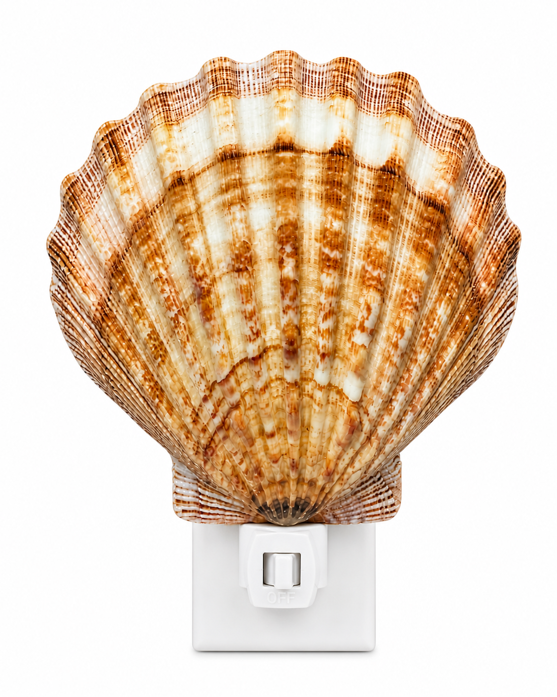 Natural Lion's Paw Shell Night Light – Handmade Coastal Beach Décor – Real Seashell Lamp with Replaceable Bulb & On/Off Switch