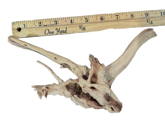 Natural Driftwood Spider Wood Decor | Locally Sourced from Florida | Air Plant Display for Terrariums & Aquariums