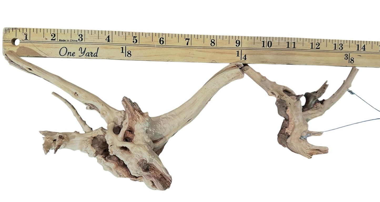 Natural Driftwood Spider Wood Decor | Locally Sourced from Florida | Air Plant Display for Terrariums & Aquariums