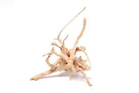 Natural Driftwood Spider Wood Decor | Locally Sourced from Florida | Air Plant Display for Terrariums & Aquariums