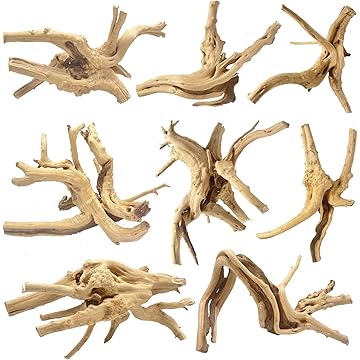 Natural Driftwood Spider Wood Decor | Locally Sourced from Florida | Air Plant Display for Terrariums & Aquariums