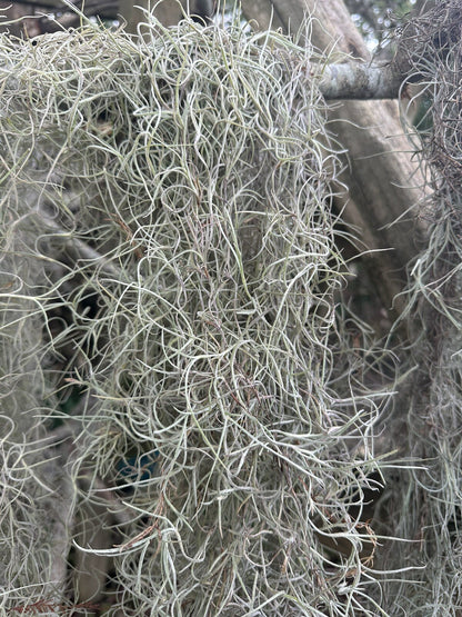 8013556
