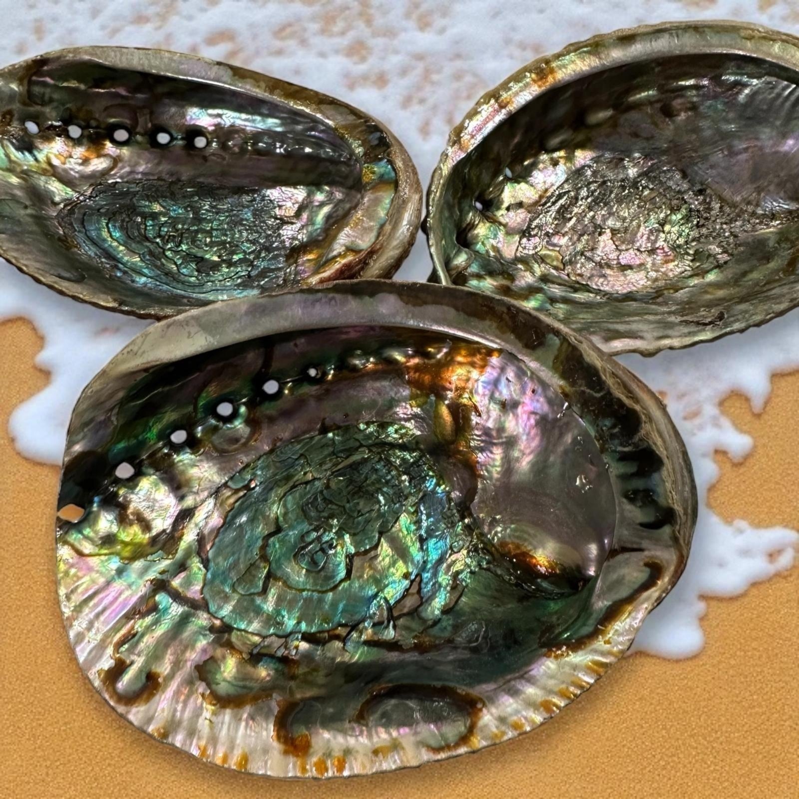 8013577