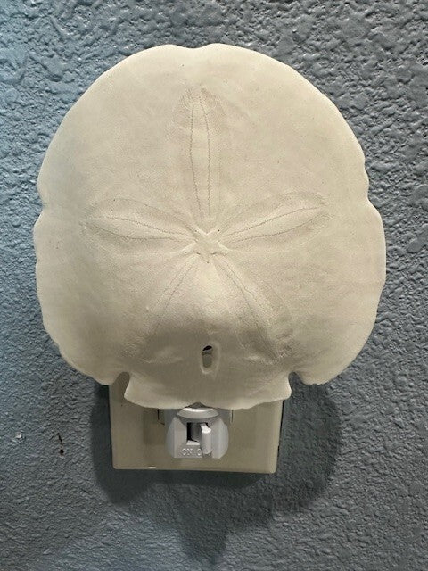 8013623