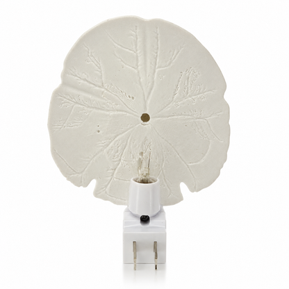 Sand Dollar Arrowhead Shell Nightlight Hallway, Bathroom, Kitchen, Nursery Decor