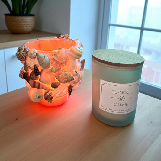 Glass Natural Shell Candle Holder with Candle- 2 Candle Scent Options- "Calme" & "Restablissment"