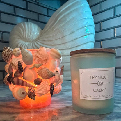 Glass Natural Shell Candle Holder with Candle- 2 Candle Scent Options- "Calme" & "Restablissment"