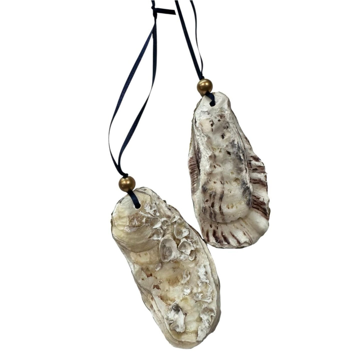 Cardinal Oyster Shell Ornament – Gold-Gilded Memorial Décor – Christmas Ornament Gift Boxed with Tag – Coastal Holiday Keepsake- GIFT