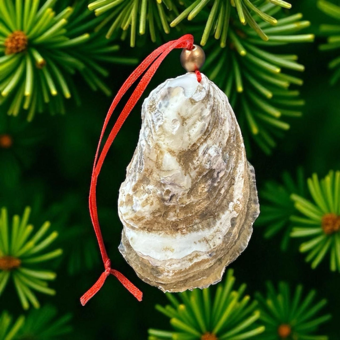 Cardinal Oyster Shell Ornament – Gold-Gilded Memorial Décor – Christmas Ornament Gift Boxed with Tag – Coastal Holiday Keepsake- GIFT
