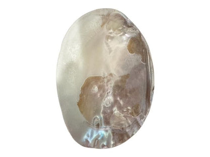 Large Mother of Iridescent Pearl Clam Shell - Coastal Home Decor - Jewelry / Soap Dish - Natural Seashell