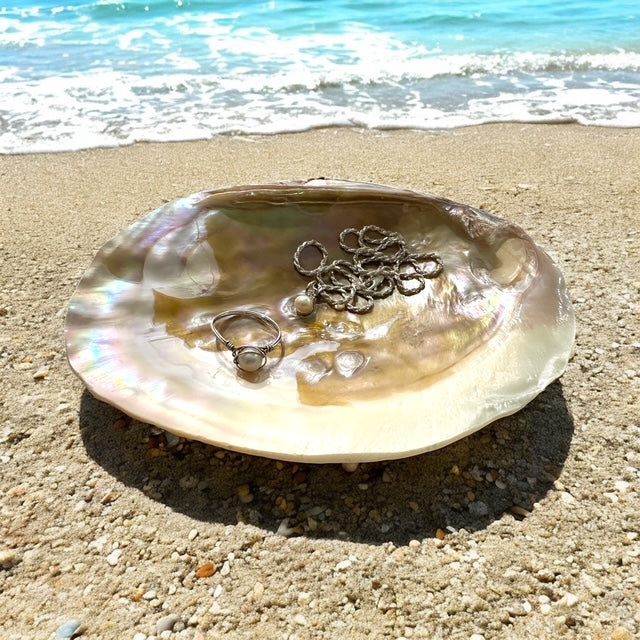 Natural Pearl Clam Shell Dish – Coastal Jewelry Tray, Soap Dish, Spoon Rest, Smudging Bowl, Sponge Holder, Beach House Decor